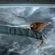 Lost In Space